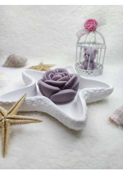 Deniz Yıldızı Biblo Yanında Gül Şeklinde Mum & Candle 2 'li Set fiyatları