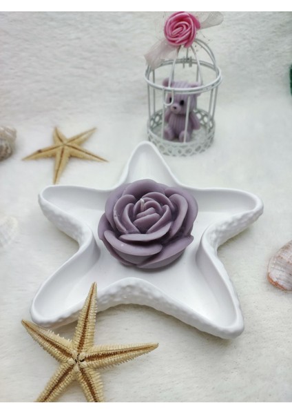 Deniz Yıldızı Biblo Yanında Gül Şeklinde Mum & Candle 2 'li Set fırsatları