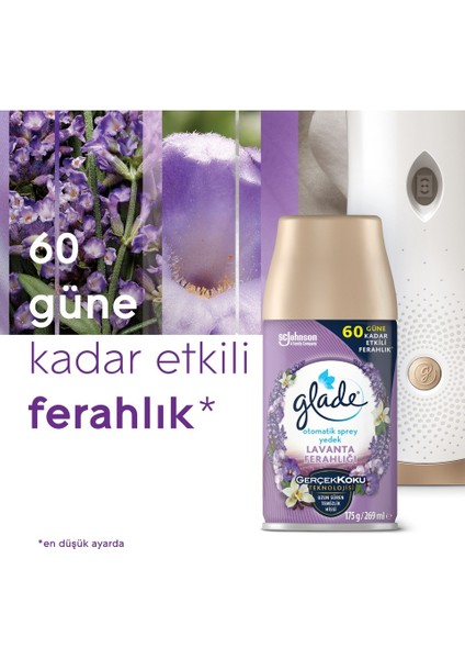 Oda Kokusu Otomatik Sprey Yedek 269ML (4 Lü Set) Lavanta (2pk*2)