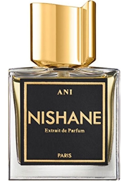 Ani 100 ml Unisex Parfüm