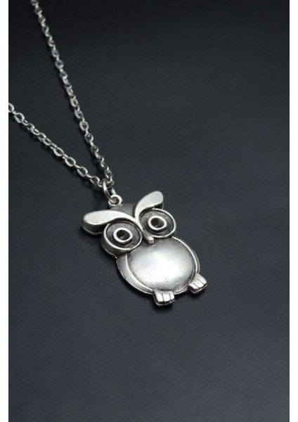 Baykuş Gümüş Kaplama Unisex Düz Zincir Kolye kod 836