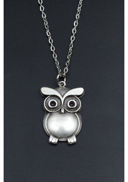 Baykuş Gümüş Kaplama Unisex Düz Zincir Kolye kod 836 fiyatları