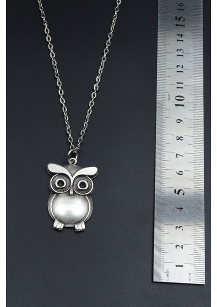Baykuş Gümüş Kaplama Unisex Düz Zincir Kolye kod 836 fırsatları
