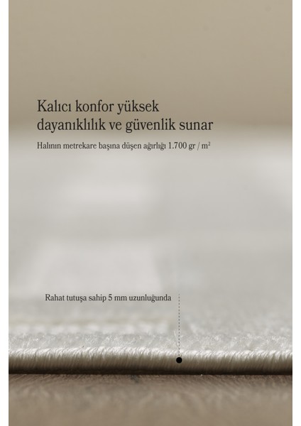 Özel Tasarım Krem Oturma Odası Halısı Salon Halısı Toz Vermez Kolay Temizlenebilir Kaymaz Taban indirimleri
