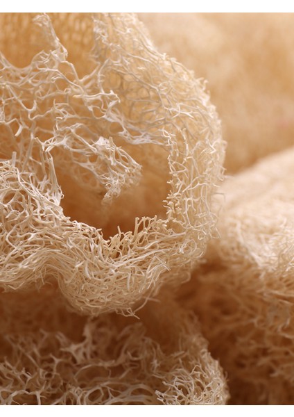 Doğal Kabak Lifi 12 Cm, Banyo Ve Mutfak Lifi 2 Adet fiyatları