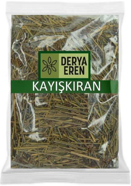 Derya Eren Kayışkıran Otu Kayış Kıran 100 gr