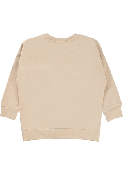 Erkek Çocuk Sweatshirt 2-5 Yaş Taş Rengi fiyatları