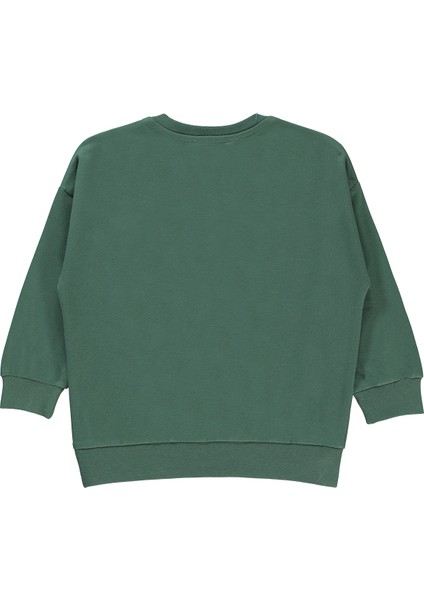 Erkek Çocuk Sweatshirt 2-5 Yaş Soft Haki fiyatları