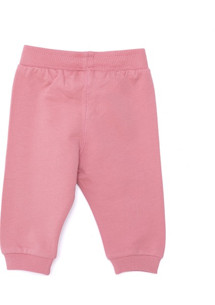 HelloBaby Basic Kız Az Şardonlu Eşofman Alt Kız Bebek fiyatları