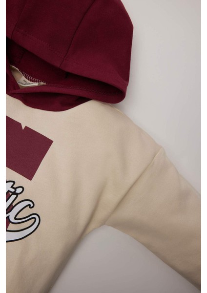 Erkek Bebek 2'li Takım Kapüşonlu Baskılı Sweatshirt Beli Lastikli Eşofman Altı D7692A524WN modelleri