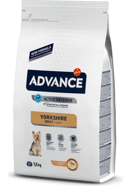 Dog Yorkshıre Terrıer 1,5 kg