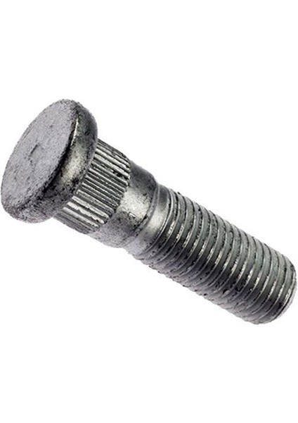 Focus Bijon (1998-2004) 1.6 Zetec, 2.0 Zetec, 1.8 L Tdcı, 1.4 L Duratec CM00150