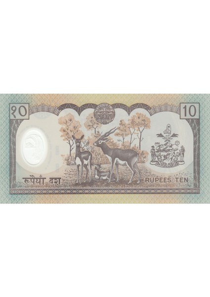 Nepal 10 Rupi 2002 Hatıra Polymer, P#45, Çil, Eski Yabancı Kağıt Para