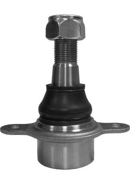 Transit Rotil 05-22 CM00155