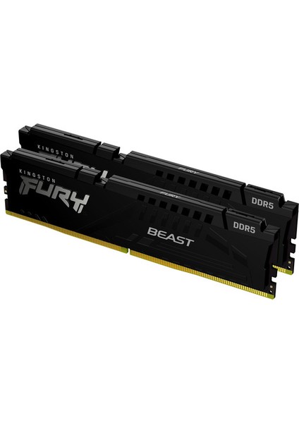 16GB 6000MT/S Ddr5 CL36 Dımm (Kit Of 2) Beast Black Expo Turkey