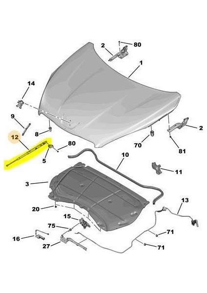 Peugeot 508 Ön Kaput Amortisör (2010-2018) 1.6 Vtı, 1.6 Hdı, 2.2 Hdı, 2.0 Hdı, 1.6 L Thp CM00372