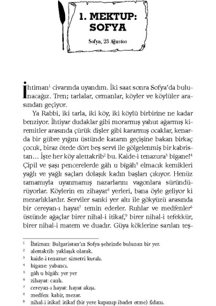 Avrupa Mektupları - Cenap Şahabettin