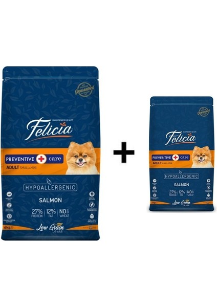 Somonlu Küçük Irk Köpek Maması 6 kg + 1 Adet Felicia Somonlu Yetişkin Small/mini Köpek Maması 3 kg