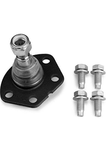 Fiat Ducato Rotil (1994-2006) 2.5, 2.8 TD, 2.3 JTD, 2.8 JTD 1300473080