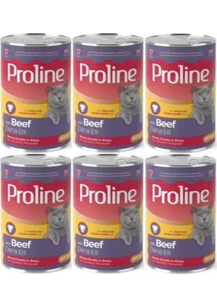 Proline Dana Etli Kedi Konserve 6X400G