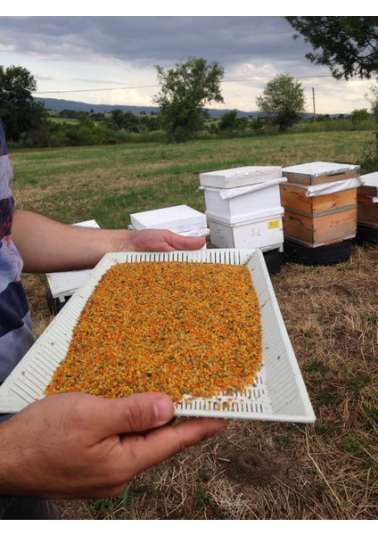 Saf Arı Poleni Doğal Kuru Polen 1 kg, 1000 gr arı poleni