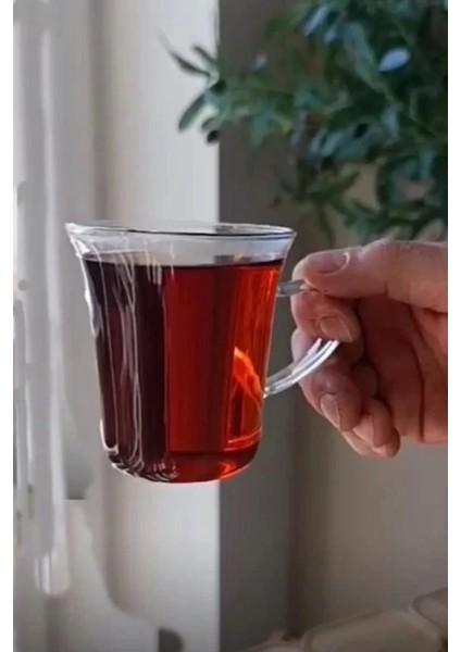 MEN1106 Cam Kupa 6 Lı