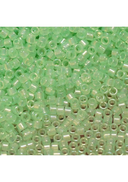 Japon Cam Boncuk Treasure 11/0 TT-1244