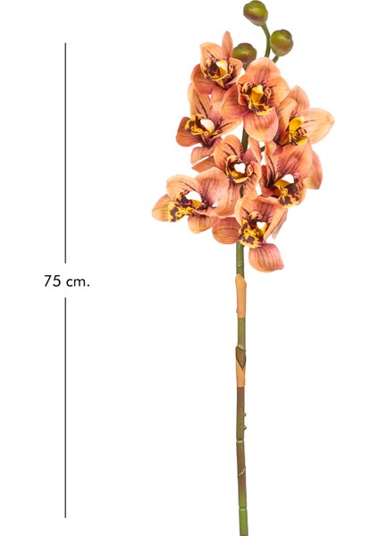 Yapay Orkide Gerçek Dokulu Somon 75 Cm. modelleri