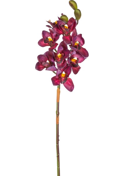 Yapay Orkide Gerçek Dokulu Bordo 75 Cm.