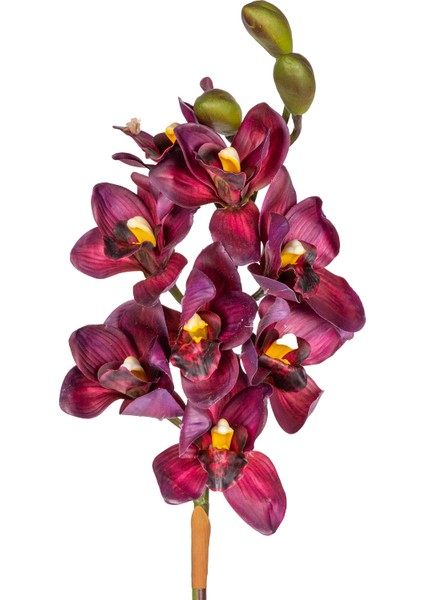 Yapay Orkide Gerçek Dokulu Bordo 75 Cm. fiyatları