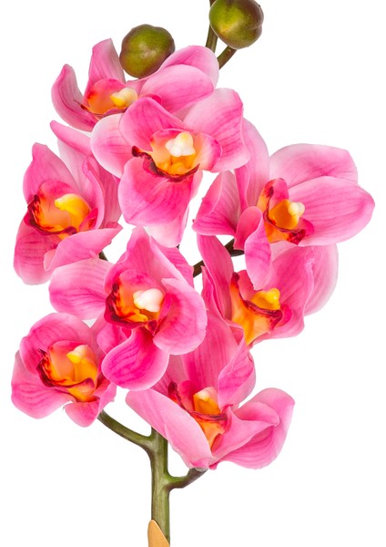 Yapay Orkide Gerçek Dokulu Pembe 75 Cm. fiyatları