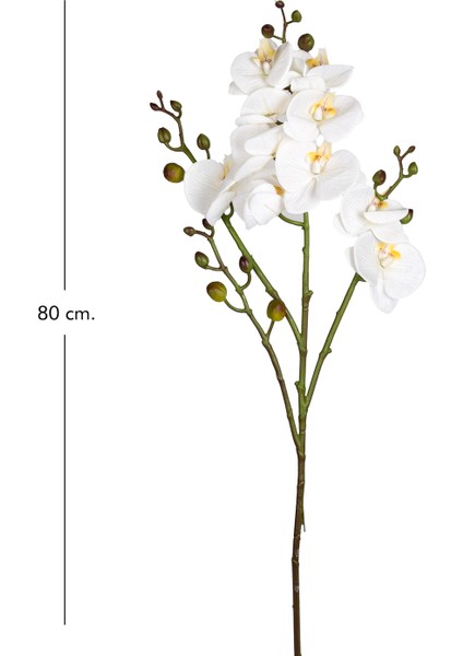 Yapay Orkide Gerçek Dokulu Beyaz 80 Cm. modelleri