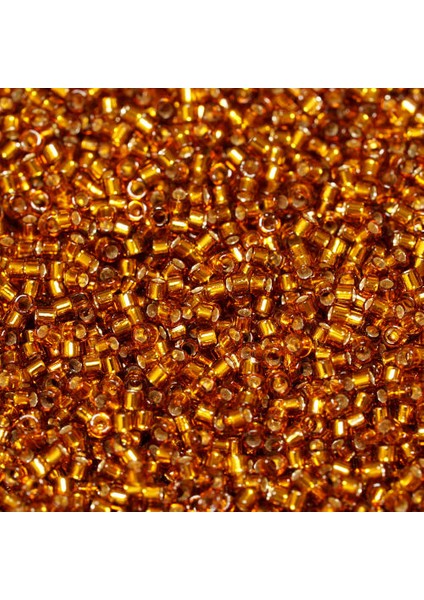 Japon Cam Boncuk Treasure 11/0 Tt-34