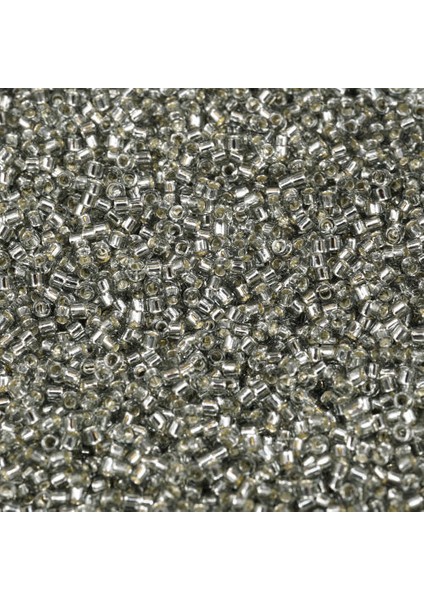 Japon Cam Boncuk Treasure 11/0 Tt-29