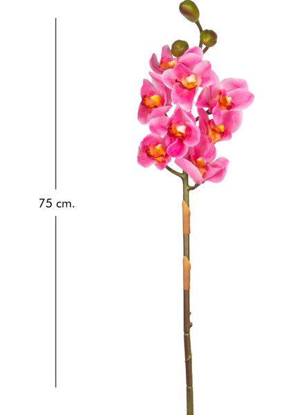 Yapay Orkide Gerçek Dokulu Pembe 75 Cm. modelleri