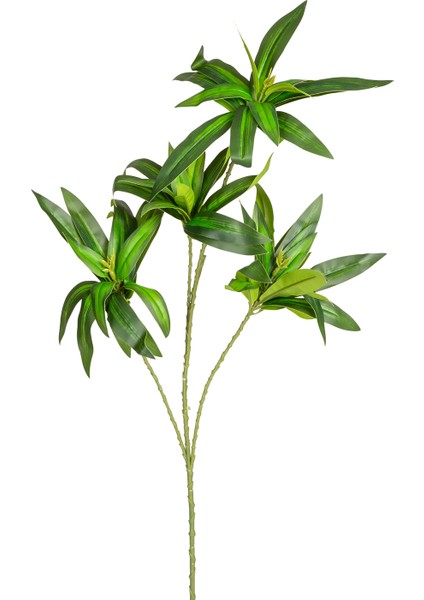 Yapay Dracena Bitkisi Yeşil 75 Cm.