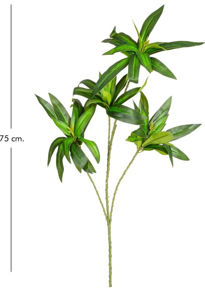 Yapay Dracena Bitkisi Yeşil 75 Cm. modelleri