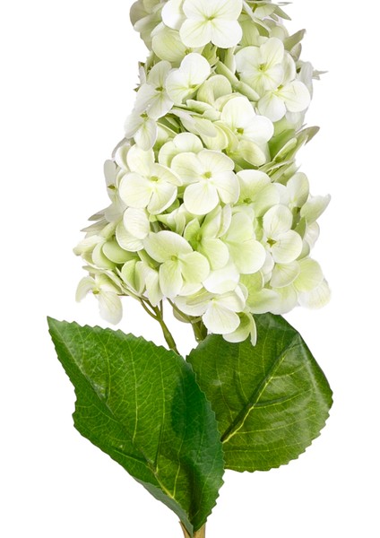 Yapay Ortanca Islak Dokulu Açık Yeşil 70 Cm.