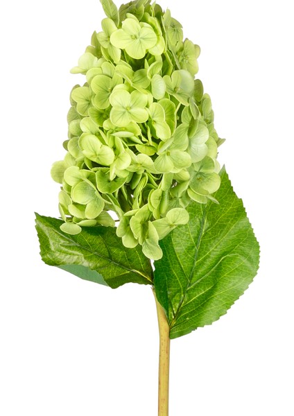 Yapay Ortanca Islak Dokulu Yeşil 70 Cm.
