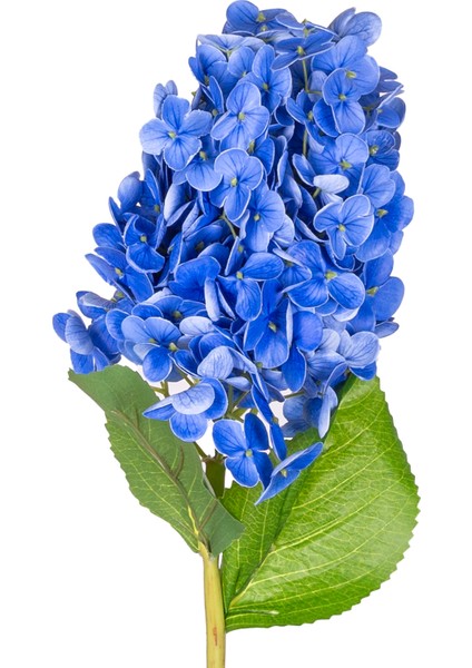 Yapay Ortanca Islak Dokulu Mavi 70 Cm.