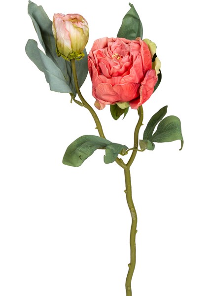 Yapay Çiçek Şakayık Kurumuş Efektli Nar Çiçeği Rengi 50 Cm.