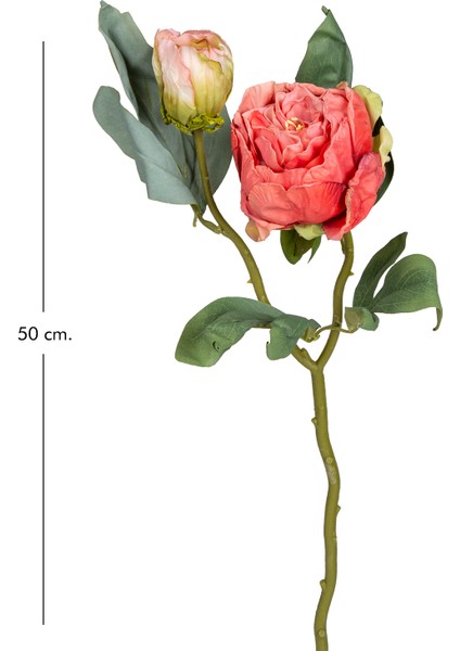 Yapay Çiçek Şakayık Kurumuş Efektli Nar Çiçeği Rengi 50 Cm. modelleri