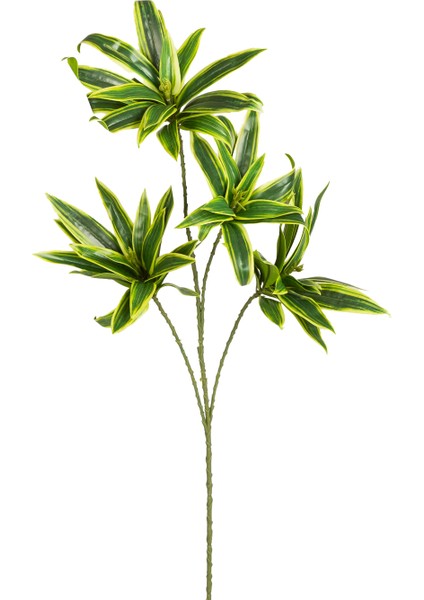 Yapay Dracena Bitkisi Yeşil-Sarı 75 Cm.