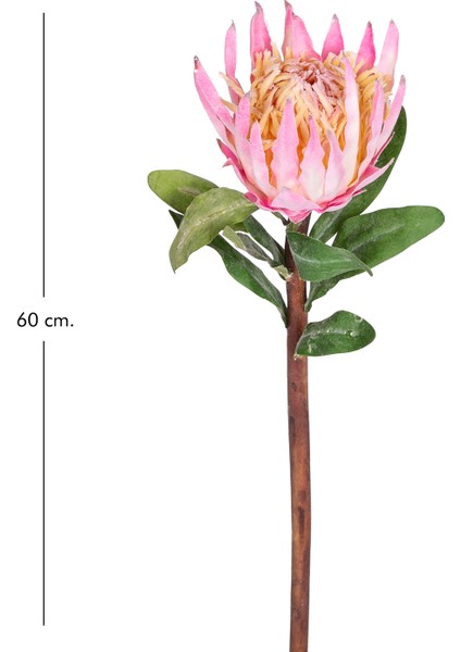 Yapay Protea Çiçeği Pembe 60 Cm. modelleri