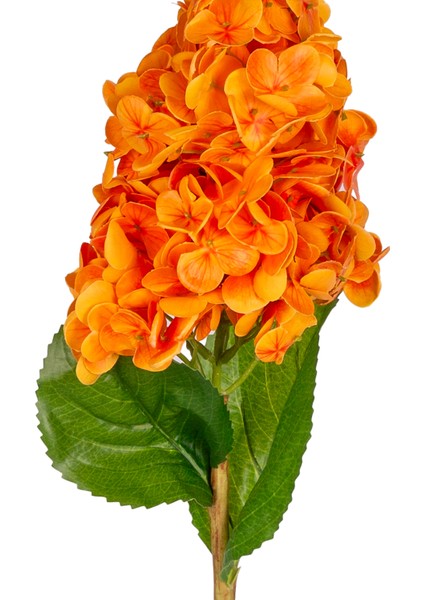 Yapay Ortanca Islak Dokulu Turuncu 70 Cm. fiyatları