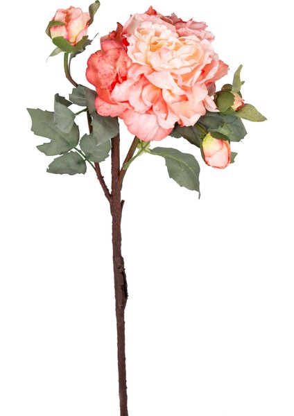 Yapay Şakayık Kurumuş Efektli Nar Çiçeği 60 Cm.