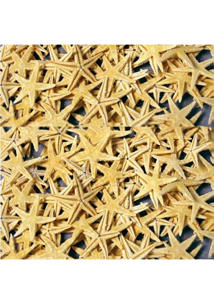 Naturel Deniz Yıldızı Minik Boy 0.5 cm -1.5 cm (100 Adet) Natural