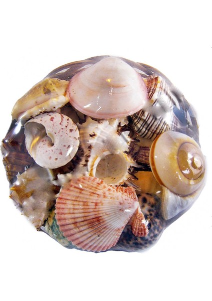 Fruit Of The Sea 20 cm