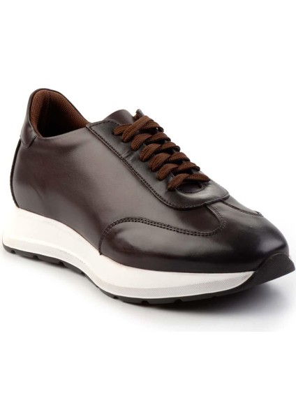 Kahve Antik Deri Erkek Sneaker E01600512441