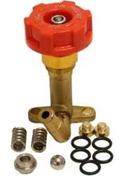 Basınçlı Pompa Basınç Valfi Komple Regülatör 3WZ3 TF900 25LT Çin Model